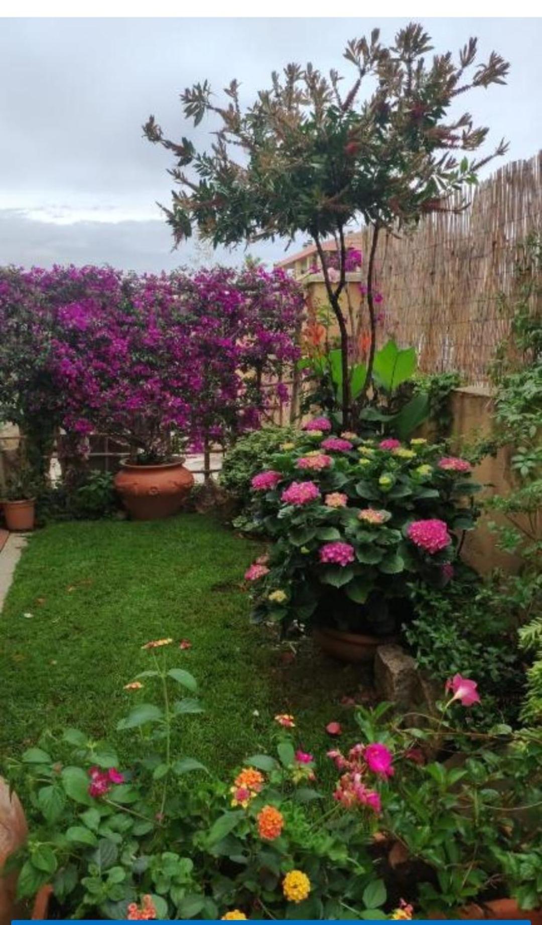 La Casa Di Luca Apartment Olbia Ngoại thất bức ảnh